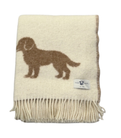 Bel-po PUPPY’S CHOCOLATE/WHITE plaid 100%