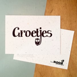 Bloeikaart: Groetjes