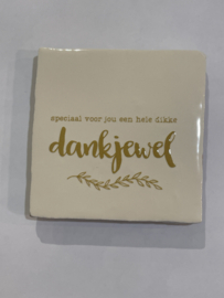 Tegeltje 10x10- speciaal voor jou een dikke dankjewel
