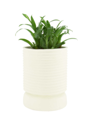 Zusss polystone pot met ribbels off white