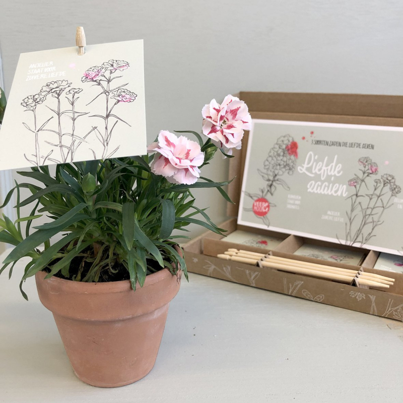 Veer & Moon liefde zaaien- cadeauset met drie soorten bloemzaden