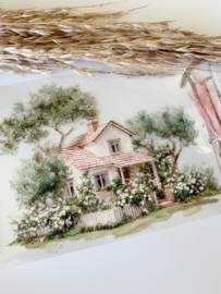 Spring Landscape  6  Sample  2.5 meter / 12 cm breed !