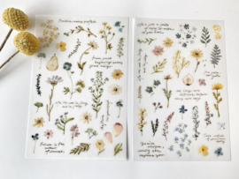 Sticker Pion Veldbloemen Rub-on