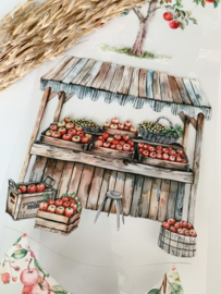 Summer Market  Landscape  Sample  2.5 meter / 12 cm breed !