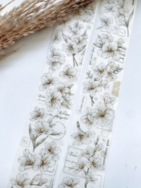 Sample White Frecia PAPER tape