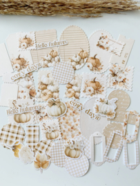 Studio by Lea - Pakketje Pumpkin Ephemera