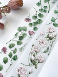 Loi PET tape Sample Rose