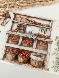 Summer Market  Landscape  Sample  2.5 meter / 12 cm breed !
