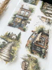 Landscape  Sample  2.5 meter / 12 cm breed !
