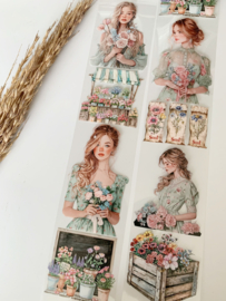Flower Shop and Apple Farm  Sample  2.5 meter