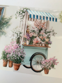 Romantic  Landscape  Sample  2.5 meter / 12 cm breed !