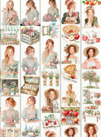 Flower Shop and Apple Farm  Sample  2.5 meter
