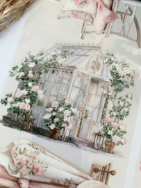 Spring Landscape  6  Sample  2.5 meter / 12 cm breed !