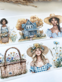 Wild flower / Apothecary / Field of  dream cottage  Sample 2.5 meter
