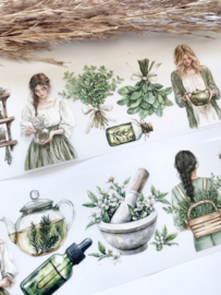 Wild flower / Apothecary / Field of  dream cottage  Sample 2.5 meter