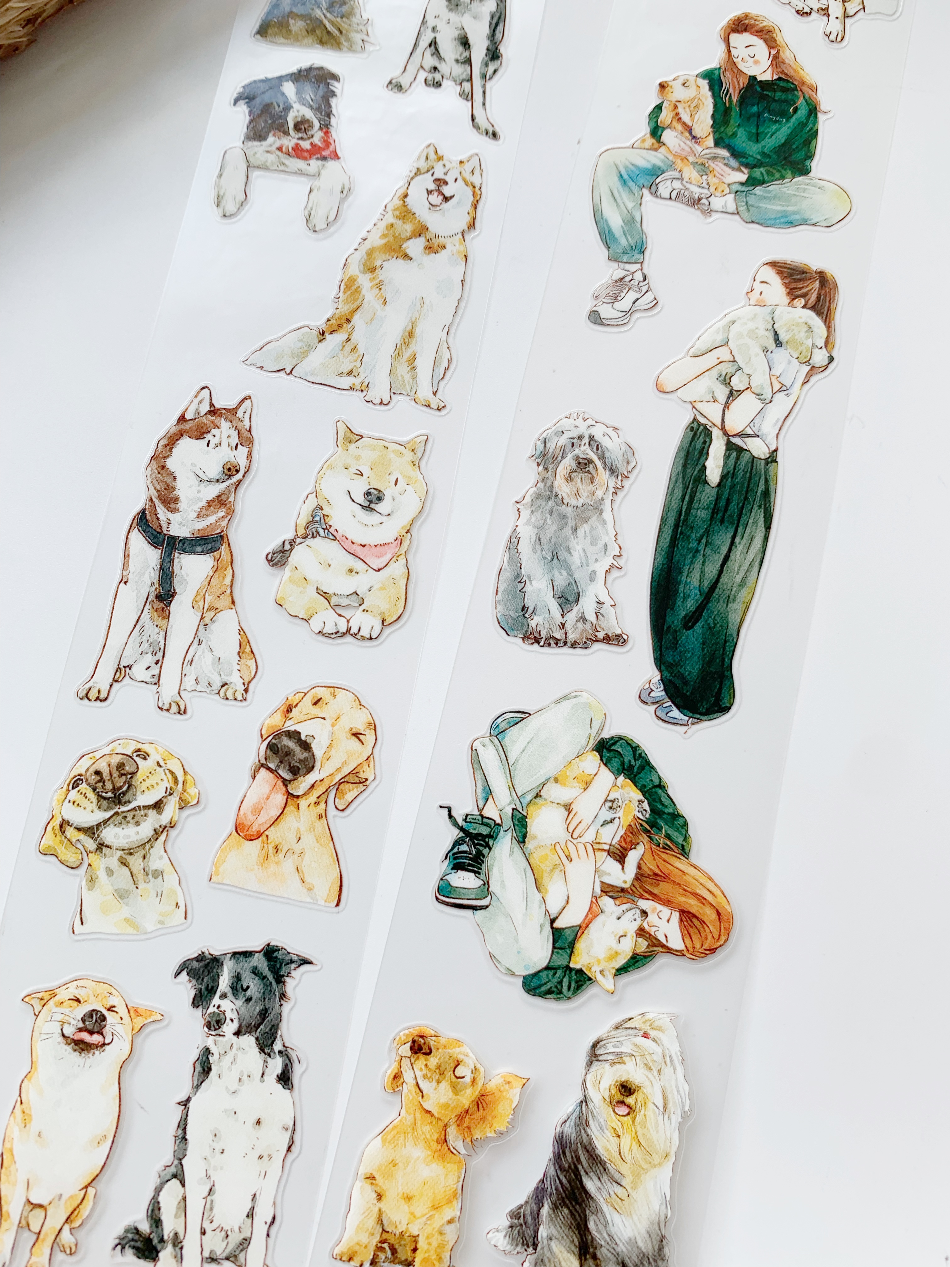 pre-cut Pet tape SAMPLE  DING.DING 22C