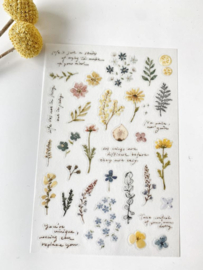Sticker Pion Veldbloemen Rub-on