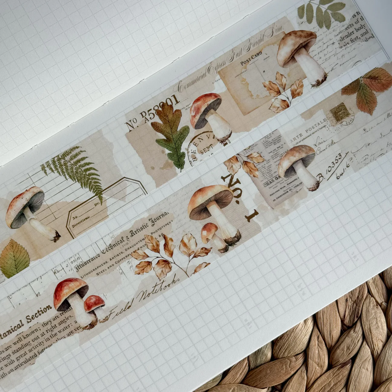 Washi tape Studio Lea    30mm Mushroom Collage