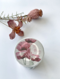 Loi PET tape Rol Papaver