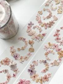 Fairy Maru Flower Scrolle Special Edition 6 PET Sample