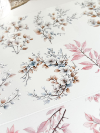 Ma.Journaling  Branches   Pet sample