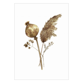 Dried Flowers A6