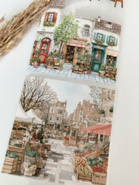 Summer Market  Landscape  Sample  2.5 meter / 12 cm breed !