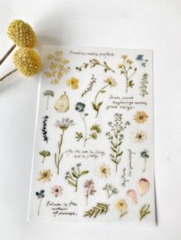 Sticker Pion Veldbloemen Rub-on