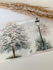 Romantic  Landscape  Sample  2.5 meter / 12 cm breed !