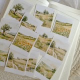 Studio by Lea - sticker pakketje  Summer Meadow Polaroid
