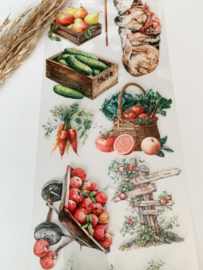 Summer Market  Landscape  Sample  2.5 meter / 12 cm breed !
