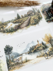 Landscape  Sample  2.5 meter / 12 cm breed !