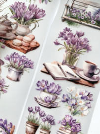 Blooming farm girls  Sample  2.5 meter