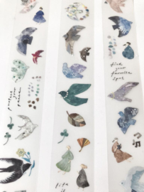 Pion Masking Tape Bird Island Sample