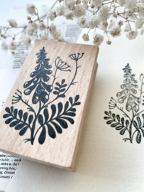 Stempel Ridderspoor