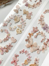 Fairy Maru Flower Scrolle Special Edition 6 PET Sample