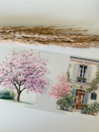 Romantic  Landscape  Sample  2.5 meter / 12 cm breed !