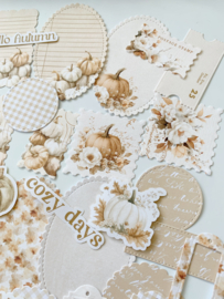 Studio by Lea - Pakketje Pumpkin Ephemera