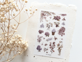 Crea wiht Gaby - Rub-on sticker- Spring Cottage 4