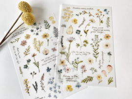 Sticker Pion Veldbloemen Rub-on