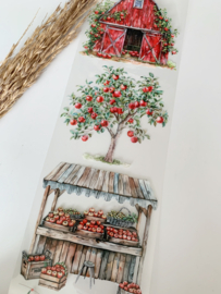 Summer Market  Landscape  Sample  2.5 meter / 12 cm breed !