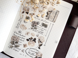 Crea wiht Gaby - Rub-on sticker- Vintage Deco