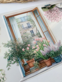 Romantic  Landscape  Sample  2.5 meter / 12 cm breed !