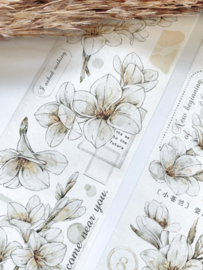 Sample White Frecia PAPER tape