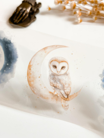 Ma.Journaling  Moonlight Sky  3D Pet sample