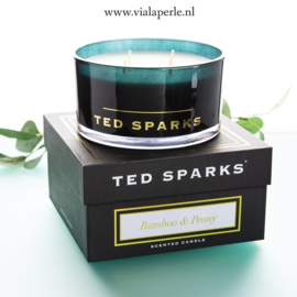 TED SPARKS