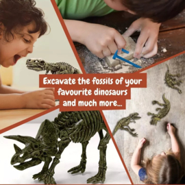 Dino Opgravingsset