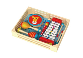 Muziekinstrumentenset