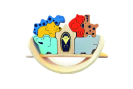 Noah's Ark