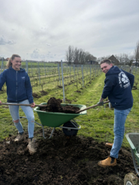 vrijwilligers in de wijngaard